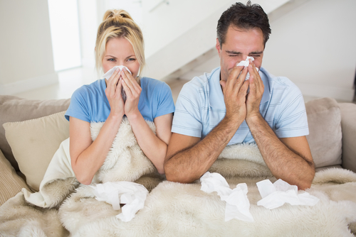 Allergies Getting to You? Check Your Indoor Air Quality