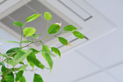8 Ways to Protect the Indoor Air Quality in Your Home